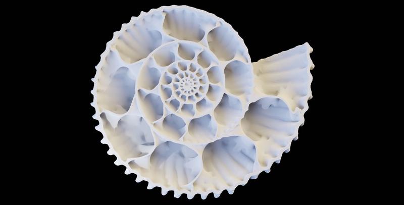 Fossil eines Kosmoceras-Ammoniten. Ein CT-Scan-Rendering 