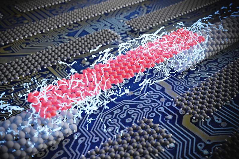 Gemeinsam mit einem internationalen Team an Forschenden haben Empa-Wissenschaftler erfolgreich einzelne atomar präzise Nanobänder mit Elektroden versehen.