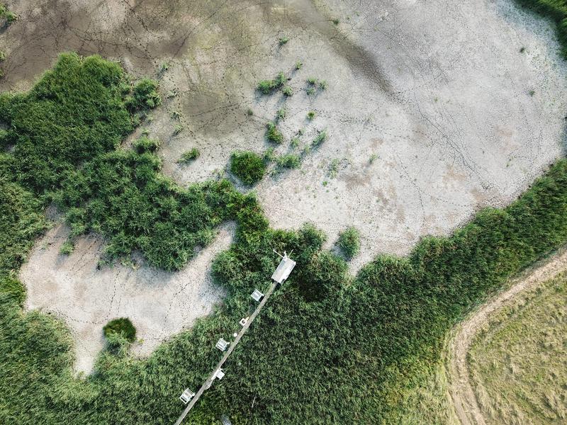 Example for the summer drought in 2018 at the Polder Zarnekow, Germany. 