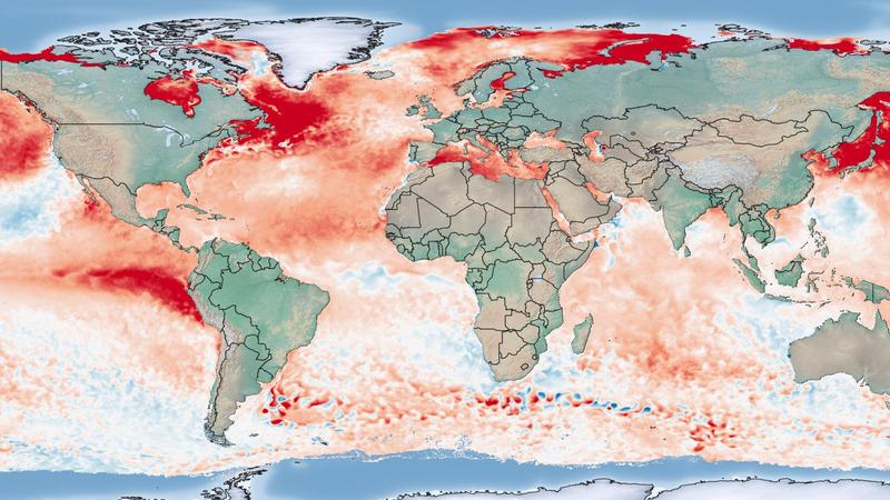 Anomalie der Meeresoberflächentemperatur vom 31.Juli 2023 (Bezugszeitraum 1985 bis 2012; Daten von NOAA/Coral Reef Watch). (Grafik: Bernhard Mühr, CEDIM/KIT)