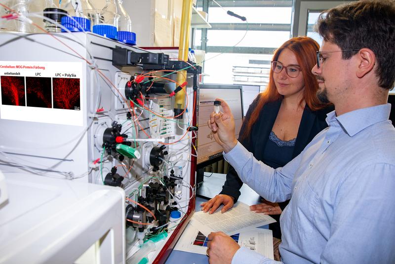 Setzen auf die Zuckerverbindung Polysialinsäure, um geschädigte Nerven im Gehirn von MS-Betroffenen zu reparieren: Dr. Lara-Jasmin Schröder und Dr. Hauke Thiesler