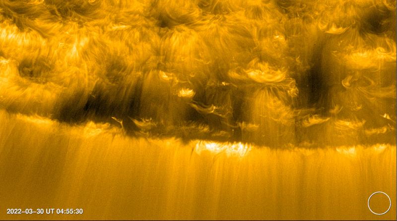 Blick auf ein koronales Loch in der Nähe des Südpols der Sonne, aufgenommen vom Solar Orbiter-Instrument EUI am 30. März 2022. Das koronale Loch zeigt sich als grob halbkreisförmiger, dunkler Bereich am unteren linken Rand der Sonne. 