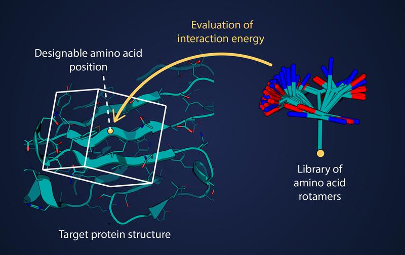 Protein design requires many calculations of interaction energy.