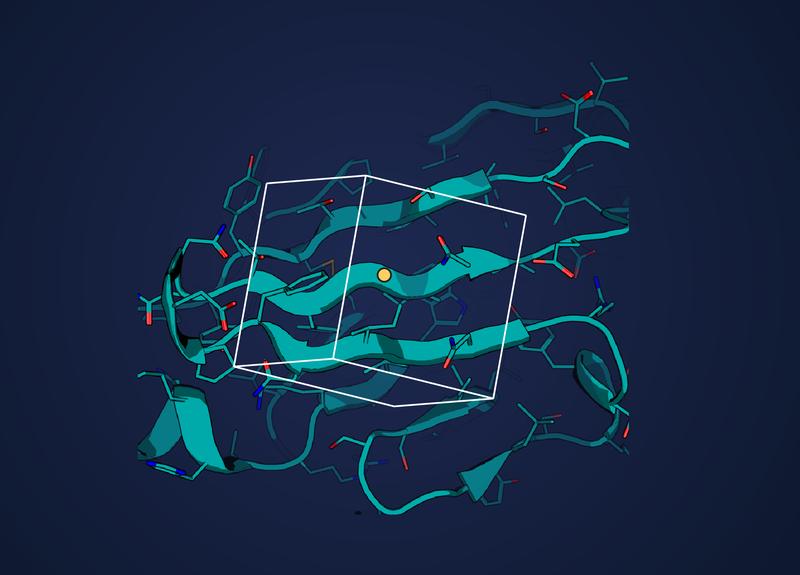 Viele Aminosäurepositionen im Zielprotein können im Designprozess verändert werden. 