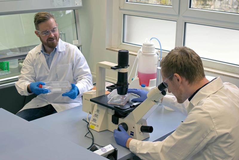 Dr. Paul Mike Jordan (l.) untersucht mit Lukas K. Peltner (r.) wie Cannabinoide im Körper wirken. 