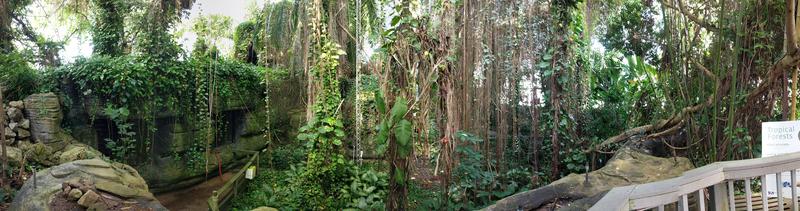 Die Messungen der VOC-Flüsse im Boden wurden im experimentellen Regenwald der Biosphäre 2 durchgeführt.