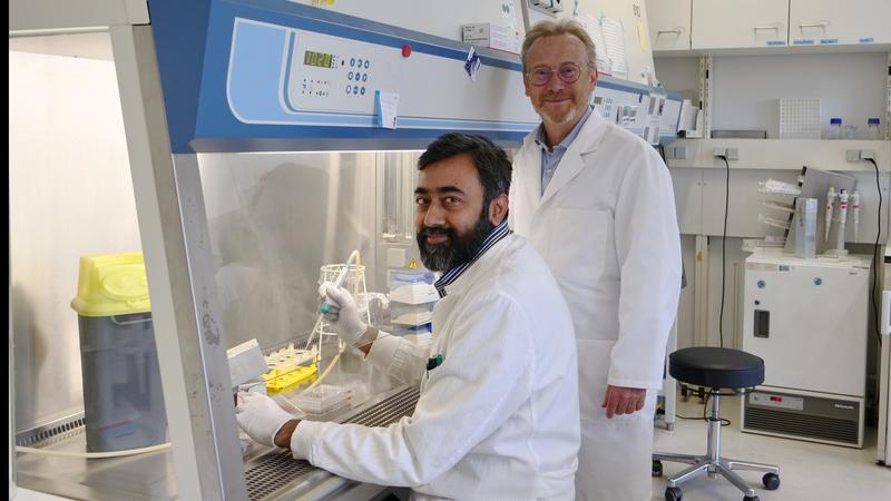First author Fakhar Waqas (l.) and project leader Frank Peßler in the laboratory 