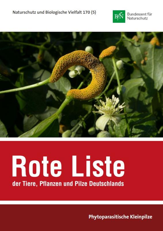 Deutschland ist weltweit das erste Land, für das jetzt eine Rote Liste der auf lebenden Pflanzen wachsenden Kleinpilze – der phytoparasitischen Kleinpilze – vorliegt. 