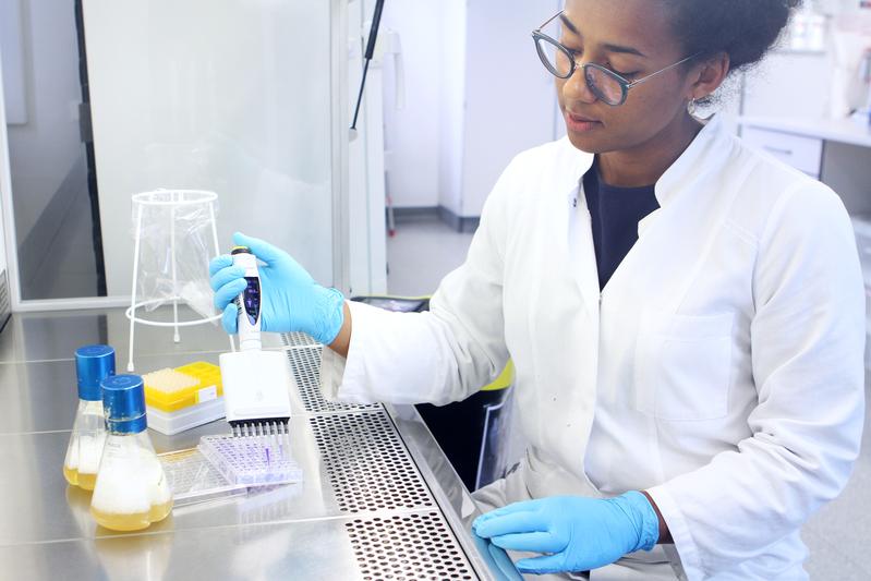 In the new study, Dr Nancy Obeng and her colleagues were able to identify several specific gene mutations that are causally related to the host adaptation of the bacterium Pseudomonas lurida. 