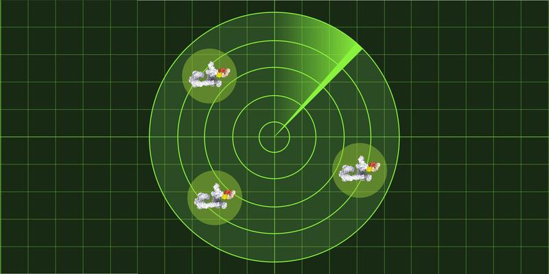 Illustration der an die Antikörper gebundenen Cullin-RING-Komplexe, die so in der Zelle lokalisiert werden können.