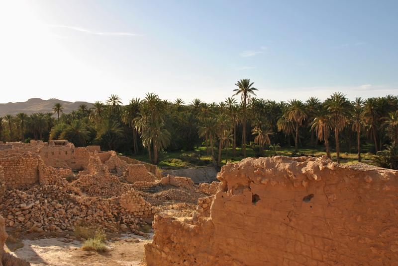 Oasen sind Zentren der biologischen und kulturellen Vielfalt in der Sahara (hier Mides, Tunesien). 