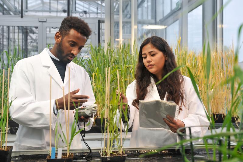 Das NTU-Ranking by Subjects bescheinigt der Universität Hohenheim auch 2023 die Spitzenposition in Deutschland in Agrarforschung und Food Sciences.