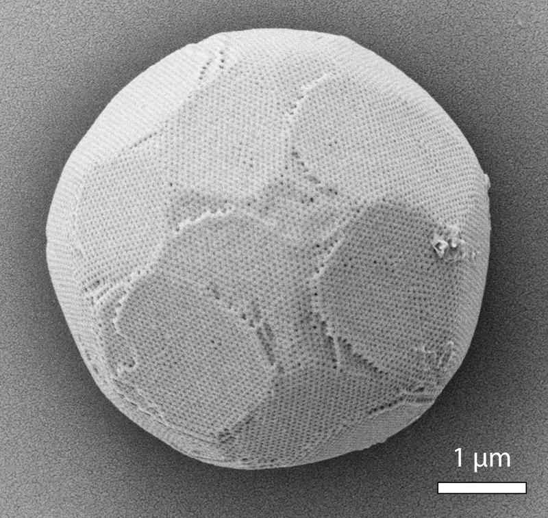 A scanning electron microscopy image of a polymer cubosome