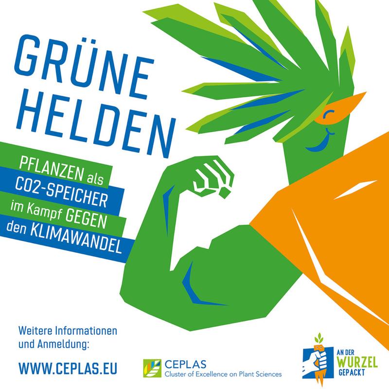 Am 7. September veranstaltet der Exzellenzcluster CEPLAS an der HHU einen Diskussionsabend zur Rolle von Pflanzen im Kampf gegen den Klimawandel.