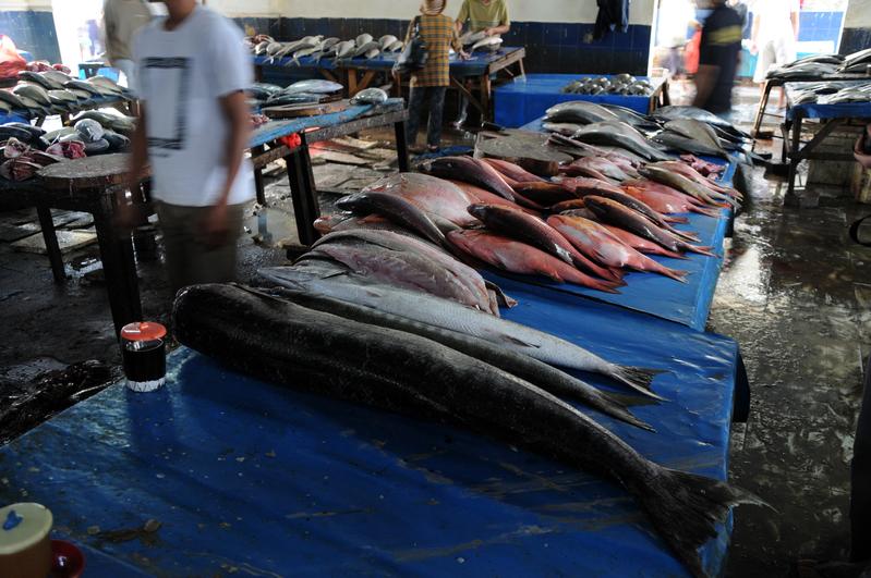 Dutzende verschiedener Fischarten aus Korallenriffen bilden eine wichtige Grundlage für die Ernährung von Millionen Menschen in den Tropen: hier ein Fischmarkt in Makassar, Indonesien. 