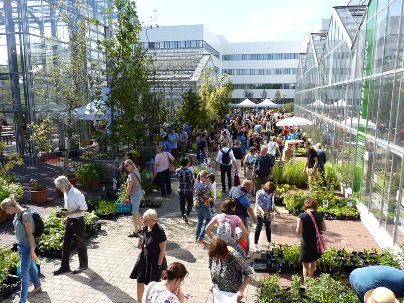 Am Sonntag, dem 17. September laden der Botanische Garten der HHU und sein Freundeskreis wieder zur Herbstpflanzenbörse ein.