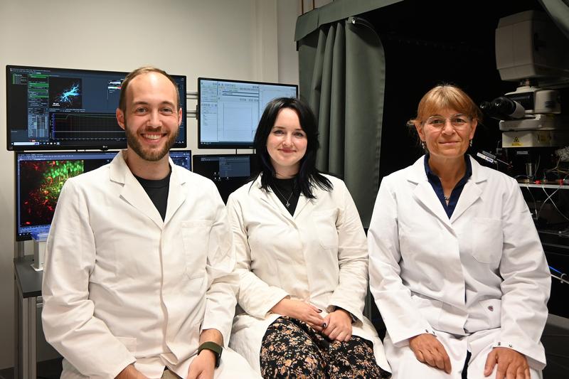 Dr. Jan Meyer, Dr. Sara Eitelmann und Prof. Dr. Christine Rose arbeiten an der HHU am Projekt SynGluCross. 