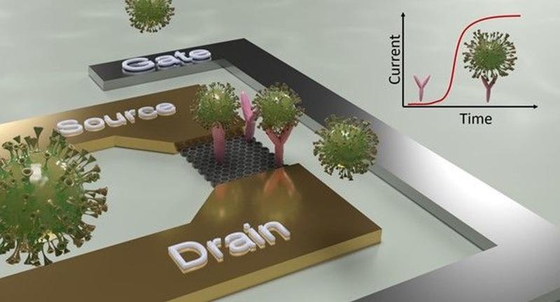 Schematischer Aufbau eines Sensors zu Detektion von viralen Erregern