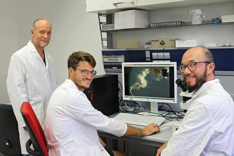 Prof. Dr. Christian Laforsch, Frederic Hüftlein M.Sc. und Dr. Matthias Schott (v.l.n.r.) in einem Labor des Lehrstuhls für Tierökologie I der Universität Bayreuth.