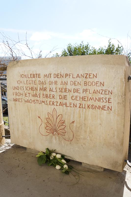 Gedenkstein für Prof. Dr. Margarete von Wrangell vor dem früheren Institut für Pflanzenernährung an der Universität Hohenheim.