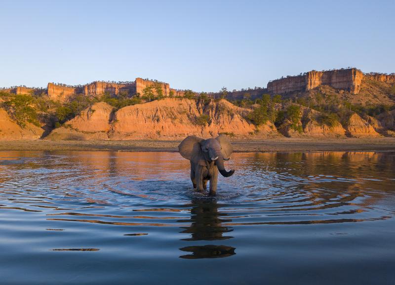 LLF-Nationalpark Gonarezhou in Zimbabwe. Die deutsche Übersetzung des Namens bedeutet „Ort vieler Elefanten“. 