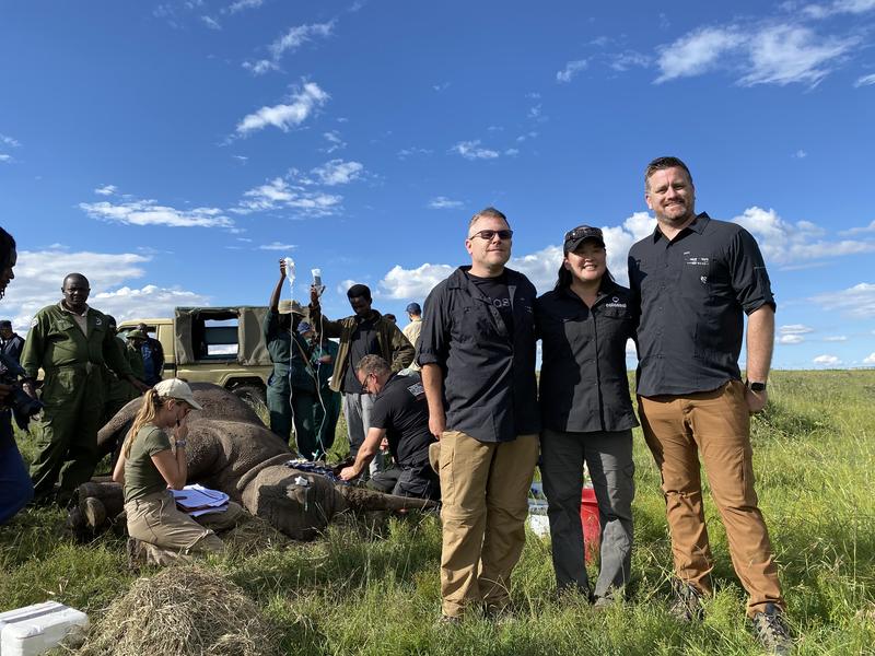 Ein Team von Colossal bei einer BioRescue-Prozedur in Ol Pejeta, Kenia