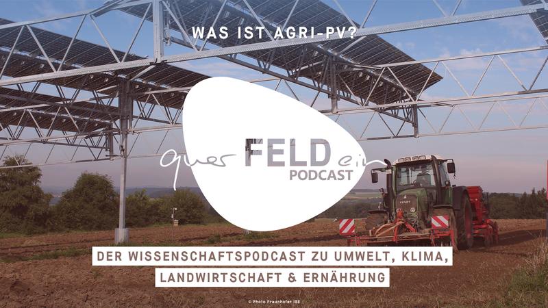 Welche Rolle spielt Agri-Photovoltaik für die Energiewende in Deutschland? Darum geht es in der neuen querFELDein-Podcastfolge.