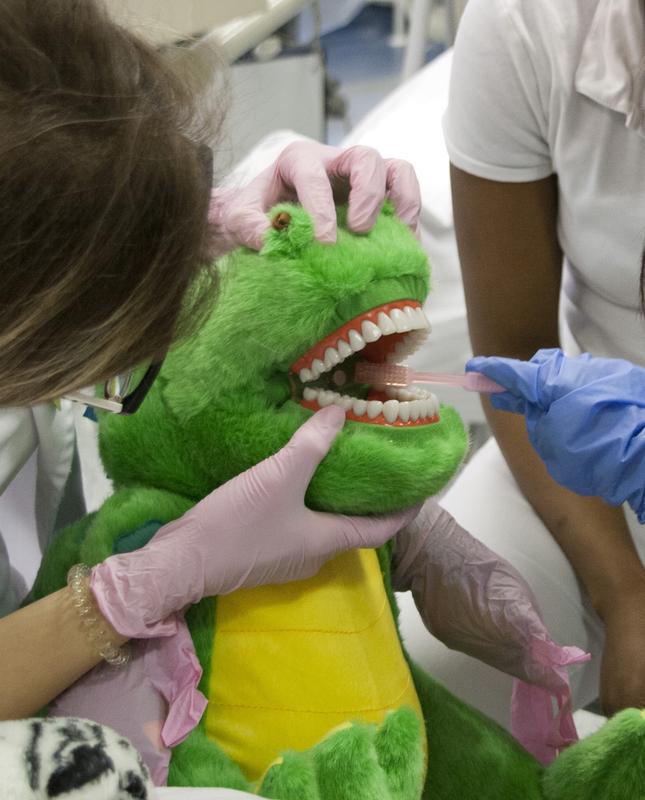 Bild 1: Die Krokodocs zeigen, wie Zähne richtig gepflegt werden – an einem Plüschkrokodil.