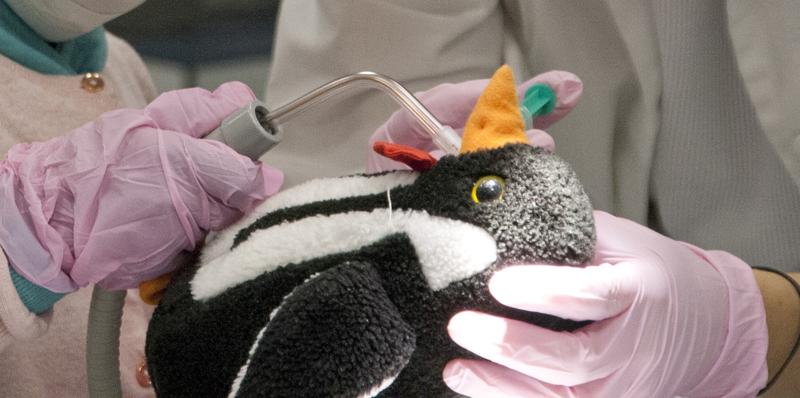 Alle dürfen kommen – auch Pinguine werden zahnärztlich untersucht und behandelt. 