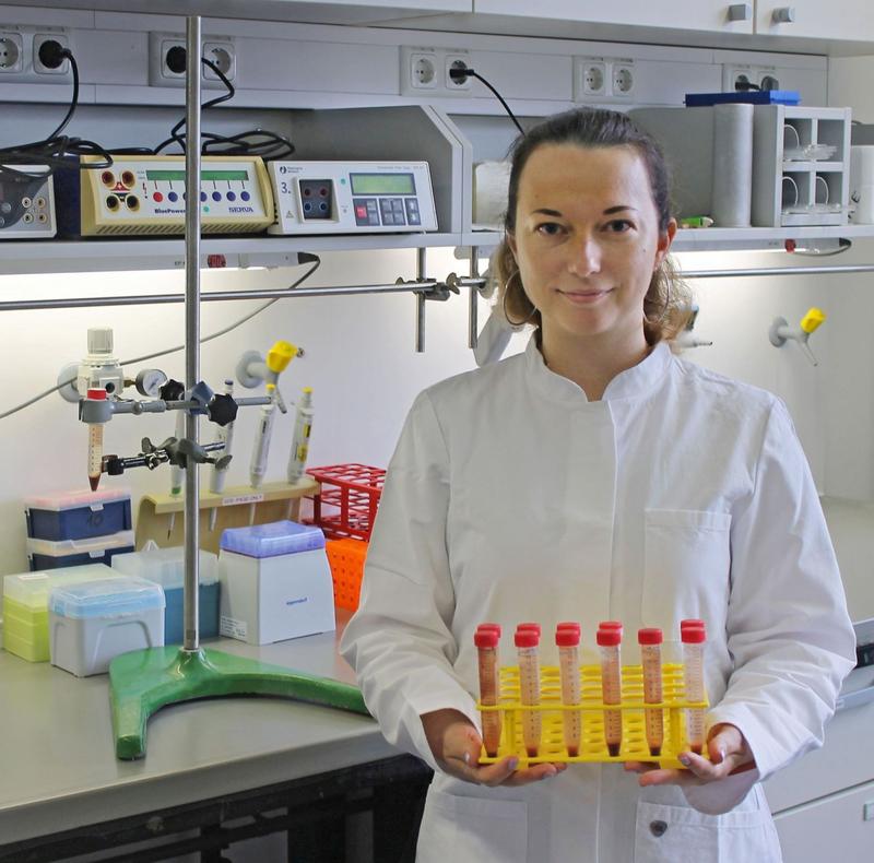 Dr. Marina Dziuba with bacterial cultures for the production of magnetic nanoparticles. 
