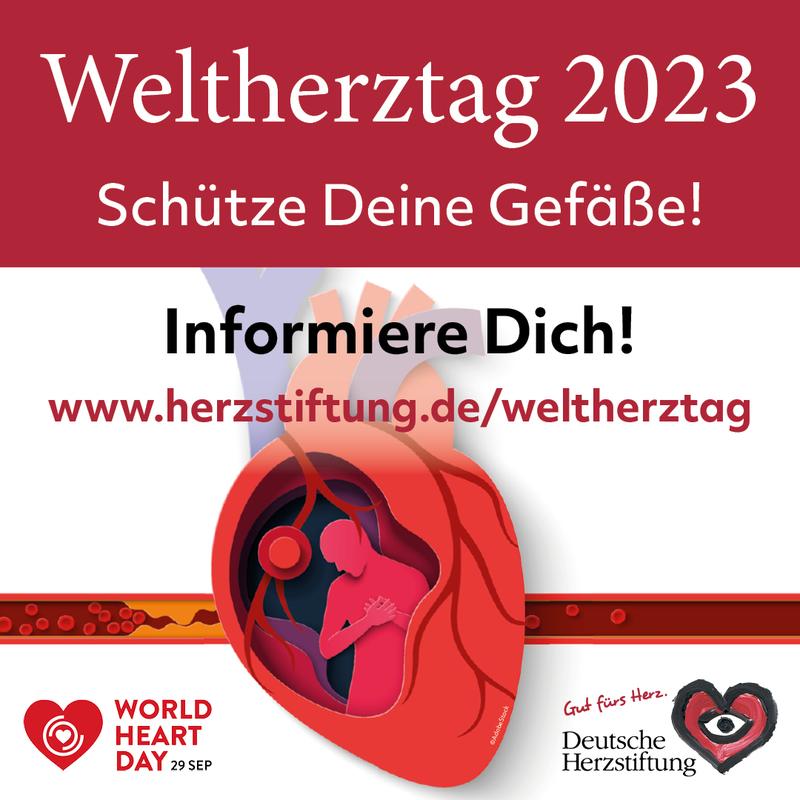 Unter dem Motto "Schütze Deine Gefäße!" macht die Deutsche Herzstiftung zum Weltherztag auf den Gefäßschutz aufmerksam