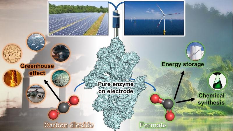 Der Prozess der Gasumwandlung durch eine enzymatische Reaktion auf Elektrodenbasis