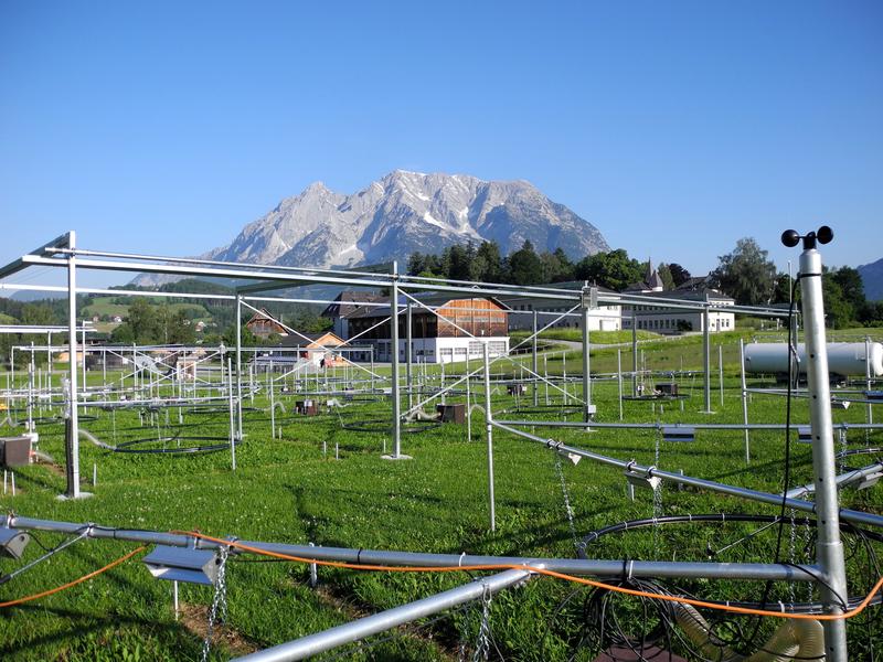 ClimGrass, das Freilandexperiment in der Steiermark, in dem Dürre in Kombination mit zukünftigen Klimabedingungen simuliert wird.