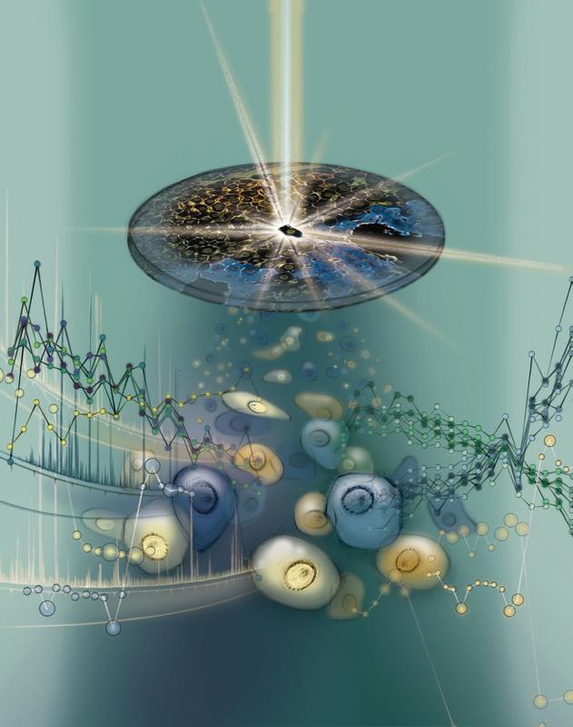 Illustration of proteomic analysis of a single cell in a tissue context