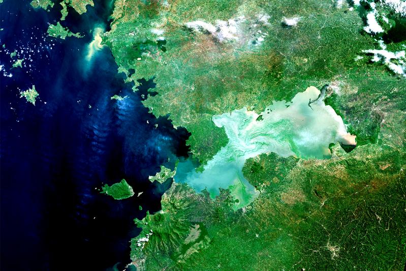 Satellitenbild der Kisumu-Bucht am Victoriasee (Afrika). Immer wieder beeinträchtigen Algenblüten-Teppiche die Wasserqualität. 