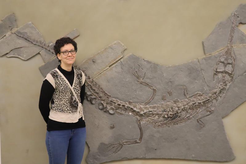 Dr. Michela Johnson in front of the fossil of a Macrospondylus bollensis in the collections of the State Museum of Natural History Stuttgart. 