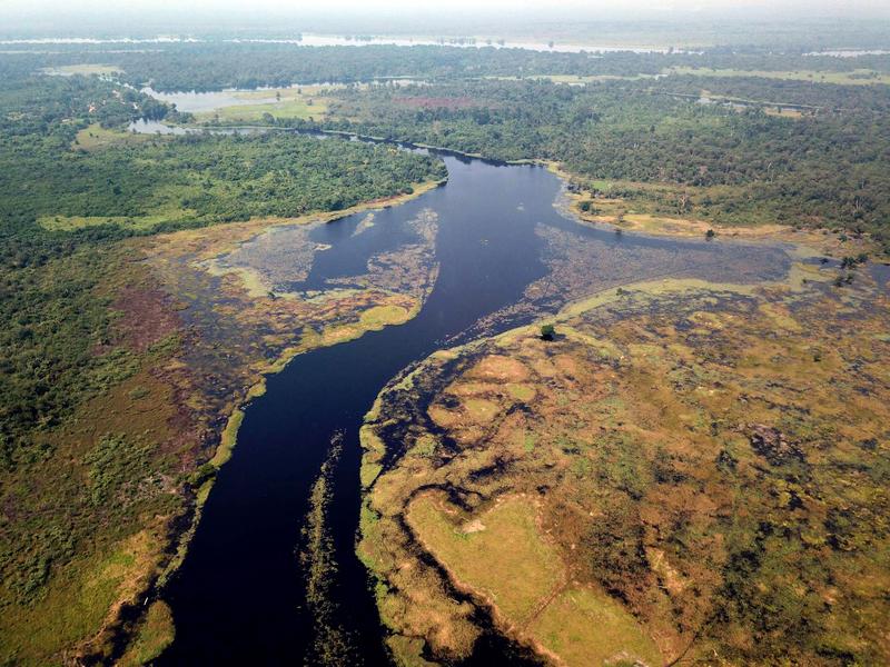Das Wasser des Ruki-​Flusses im Kongobecken ist aufgrund einer hohen Konzentration an gelösten organischen Substanzen so dunkel wie Tee.