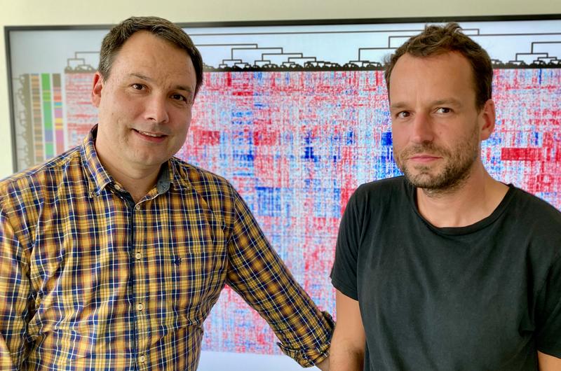 Dr. Lorenz Bastian (links) und Dr. Thomas Beder haben das neue Bioinformatik-Programm ALLCatchR entwickelt. Es verbessert den Nachweis von molekularen Subtypen der akuten lymphoblastischen Leukämie.