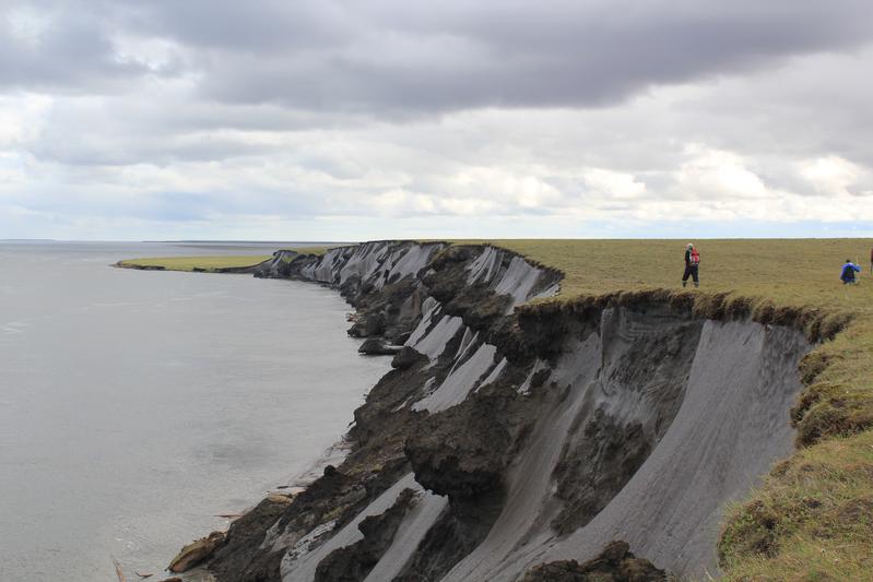 A cliff in the Siberian Arctic with remnants of peatlands. 