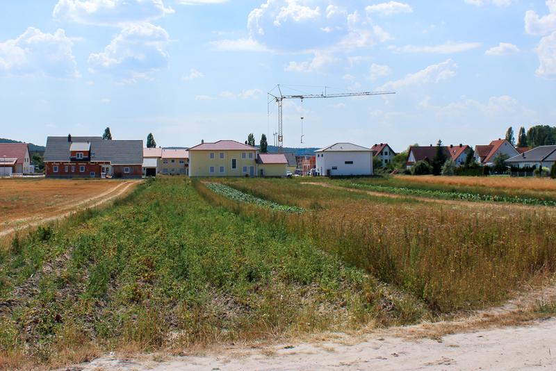Landverbrauch durch Siedlungsbau: Neubaugebiet am Rande von Gerhardshofen, Bayern. 