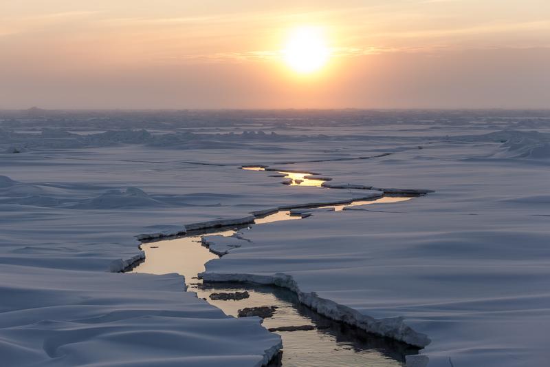 Arktisches Meereis. 