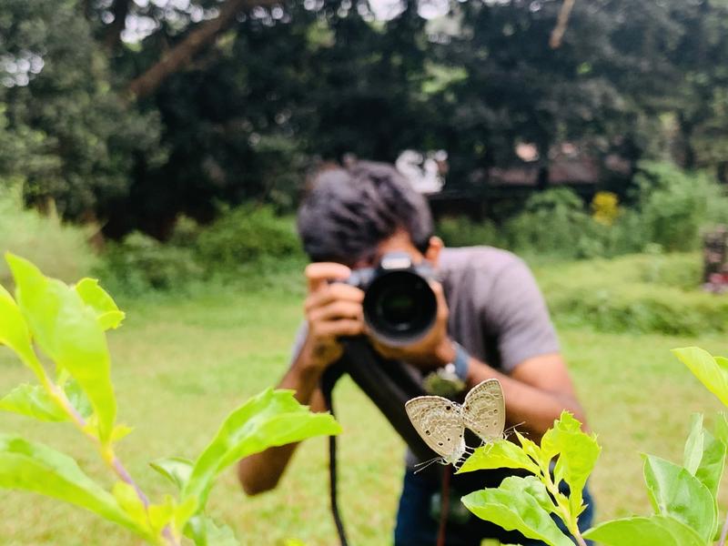 Naturphotographen weltweit teilen ihre Aufnahmen zur Biodiversität in den sozialen Medien – ein riesiges Potenzial auch für die Biodiversitätsforschung.