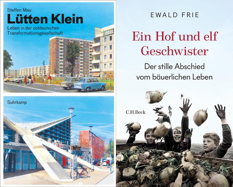 Buchcover "Lütten Klein" & "Ein Hof und elf Geschwister"