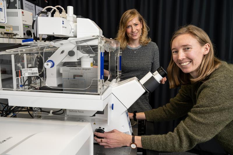 Ida Jentoft (rechts) und Melina Schuh bei der Arbeit an einem Lichtmikroskop.