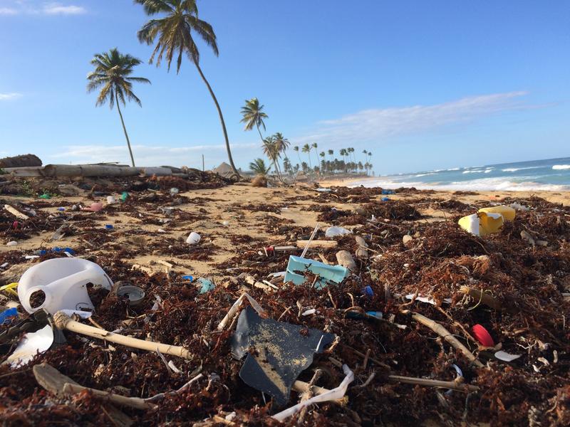 Plastic in the ocean and the rest of the environment: the problem of littering urges action. Photo: Dustan Woodhouse via unsplash