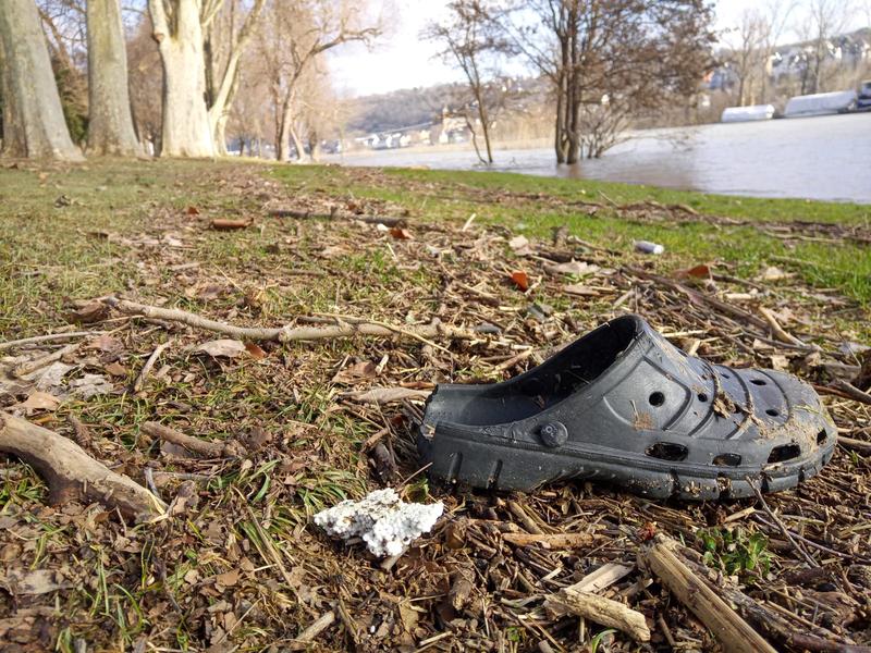 Auch Makroplastik, wie hier am Rheinufer bei Koblenz, trägt durch seine Zersetzung zur Mikroplastik-Belastung in Oberflächengewässern bei.