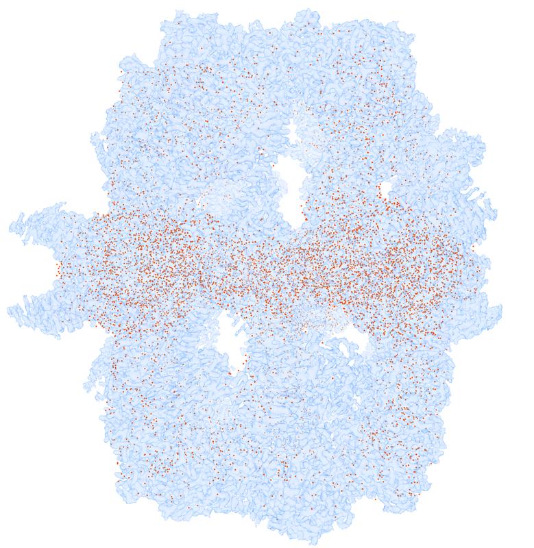 The molecular fatty acid synthase (FAS) is depicted in a transparent grey-blue, the red dots within FAS represent modelled, structured water molecules. The image shows a cryo-electron microscopy map at 1.9 angstrom resolution. 