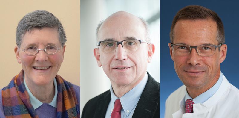 Die „Highly Cited Researchers“ der Ulmer Universitätsmedizin (v.l.): Dr. Dr. Kelly Del Tredici, Prof. Hartmut Döhner und Prof. Stefan Stilgenbauer 