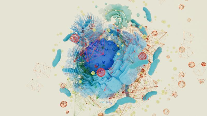 Die Protein-Protein-Interaktionen, also das soziale Netzwerk der Proteine, dargestellt durch die roten, orangenen und grünen Linien. Die Eckpunkte der Verbindungen symbolisieren jeweils ein untersuchtes Protein in der Zelle. 