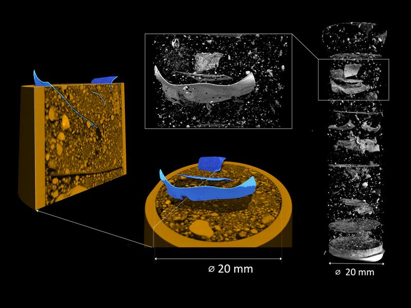 Die Probe aus Beelitzer Sandboden enthält Stücke von PET-Folie. Die Neutronentomographie (grau) zeigt, wo sie sich befinden, das Röntgenbild (ocker) enthüllt die Bodenstruktur. Übereinander gelegt werden PET-Teilchen (in blau) sichtbar.